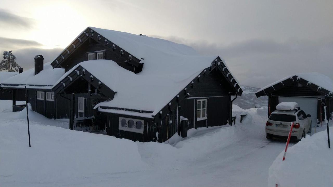 Wonderful Cabin With Amazing Mountain - View Villa Lifjell Exterior photo