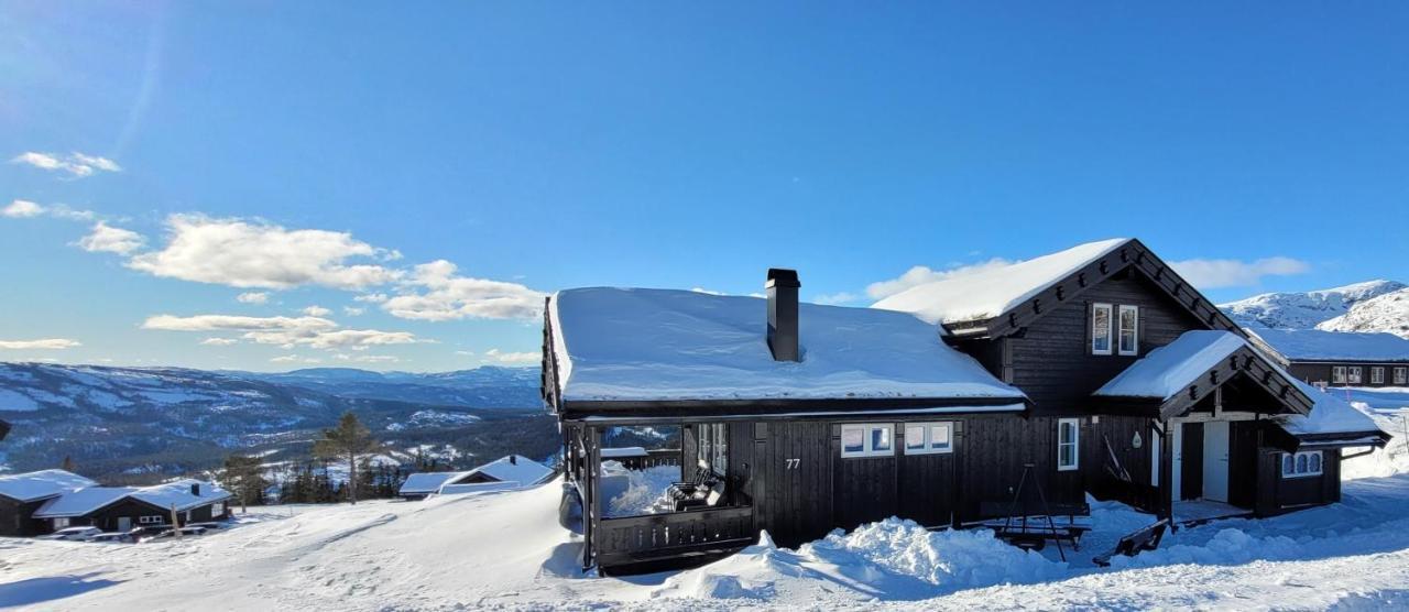 Wonderful Cabin With Amazing Mountain - View Villa Lifjell Exterior photo